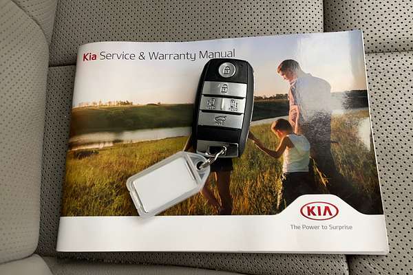 2017 Kia Carnival Platinum YP