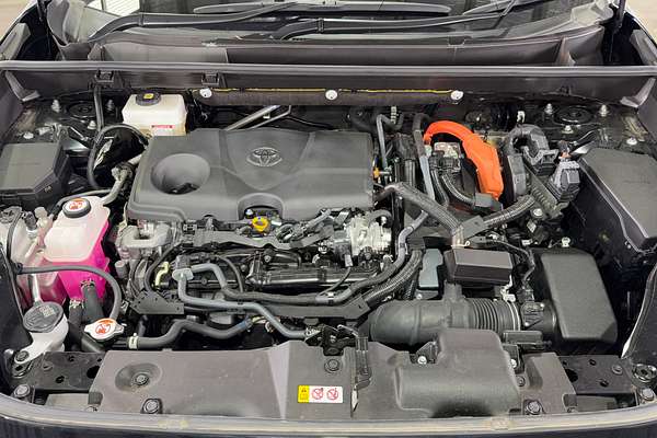 2023 Toyota RAV4 Cruiser AXAH54R