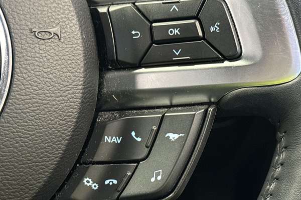 2019 Ford Mustang GT FN