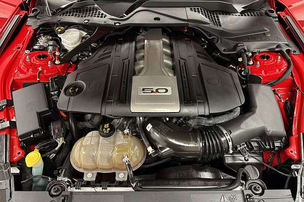 2019 Ford Mustang GT FN
