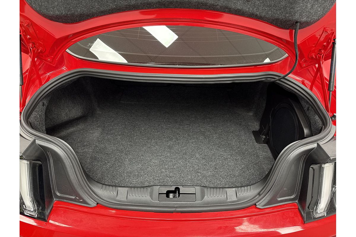 2019 Ford Mustang GT FN