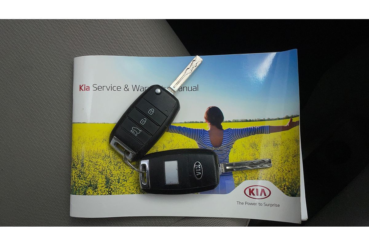 2015 Kia Carnival S YP