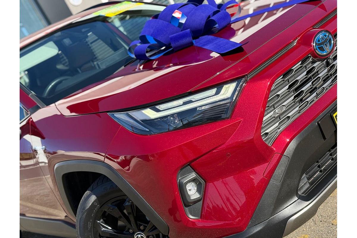 2022 Toyota RAV4 Cruiser AXAH54R