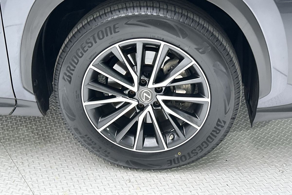 2023 Lexus NX NX250 AAZA20R
