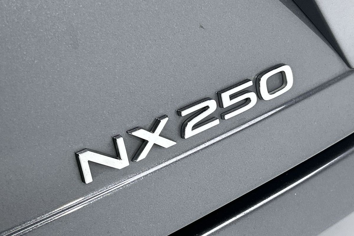 2023 Lexus NX NX250 AAZA20R