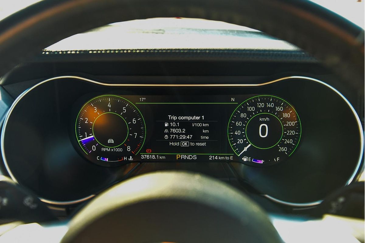 2019 Ford Mustang GT FN