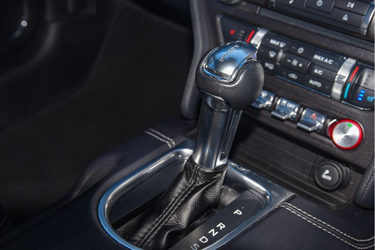 2019 Ford Mustang GT FN
