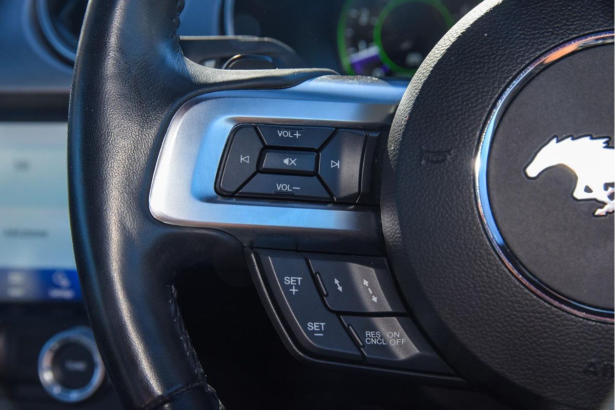 2019 Ford Mustang GT FN