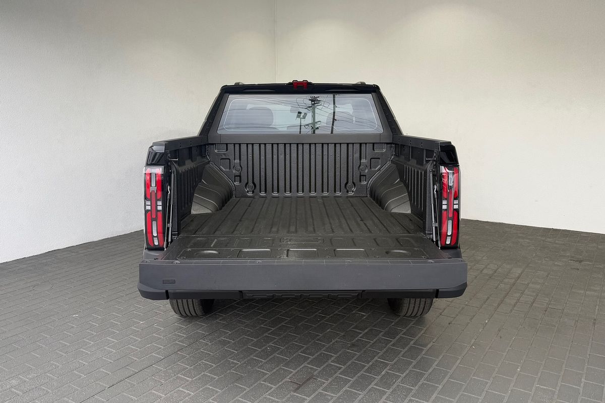 2025 LDV Terron 9 Origin EKK1C 4X4