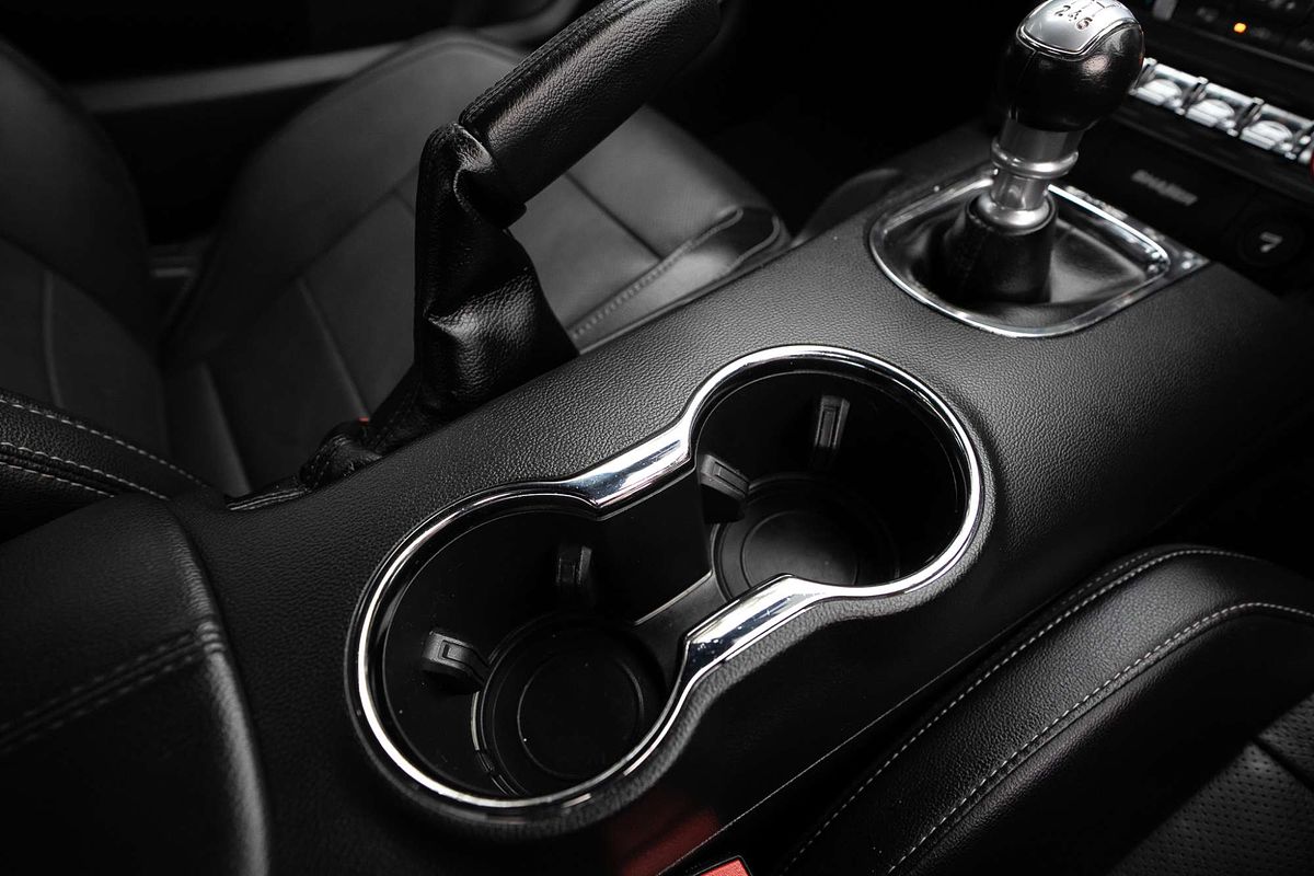 2017 Ford Mustang GT FM
