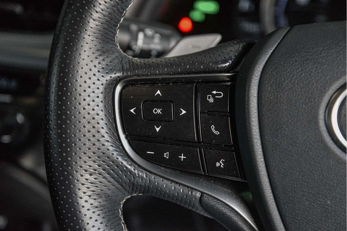 2019 Lexus ES ES300h F Sport AXZH10R