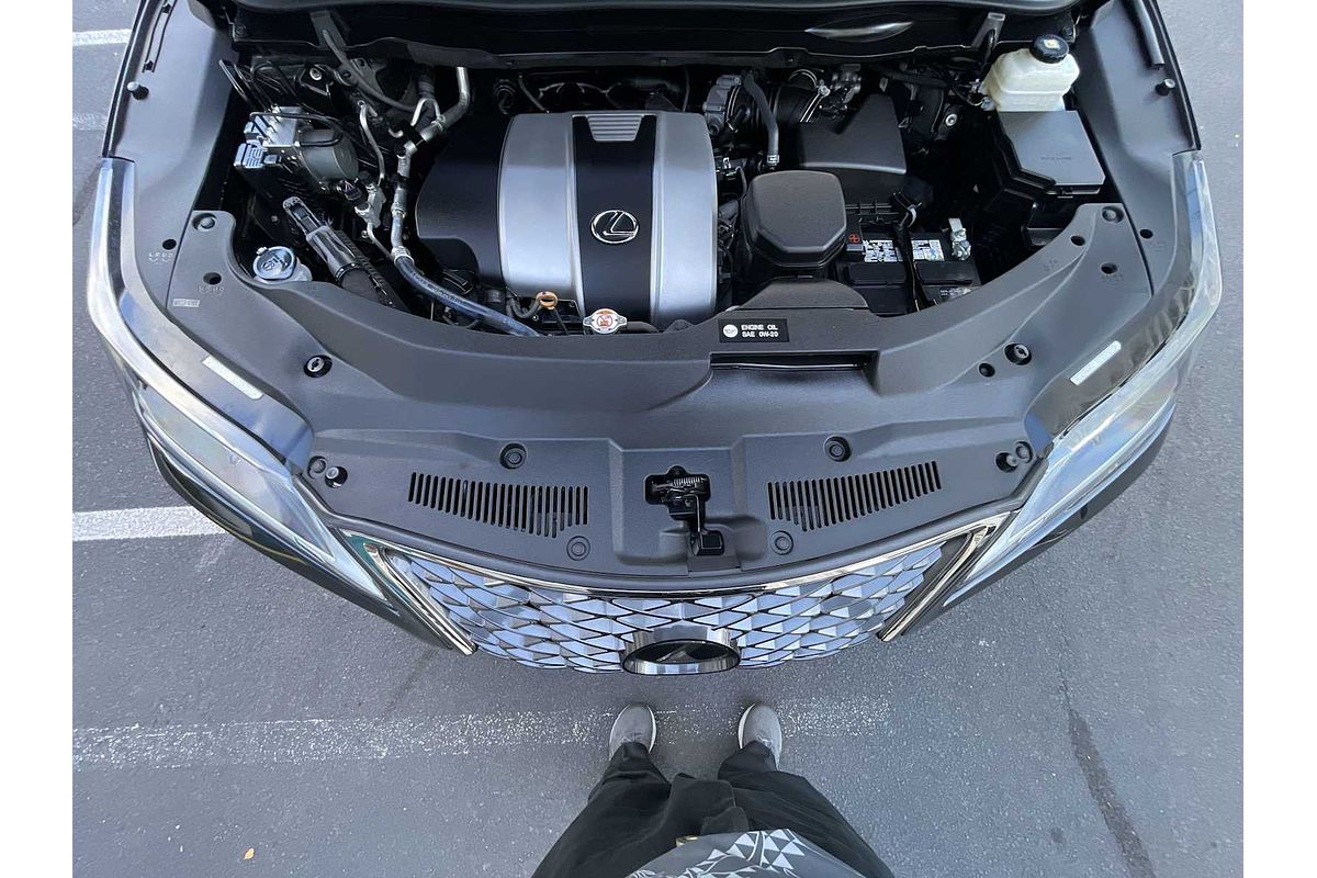 2021 Lexus RX F SPORT Appearance