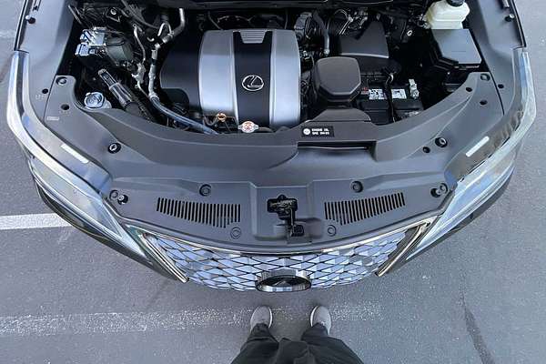 2021 Lexus RX F SPORT Appearance