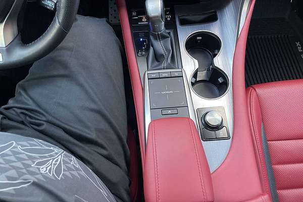 2021 Lexus RX F SPORT Appearance