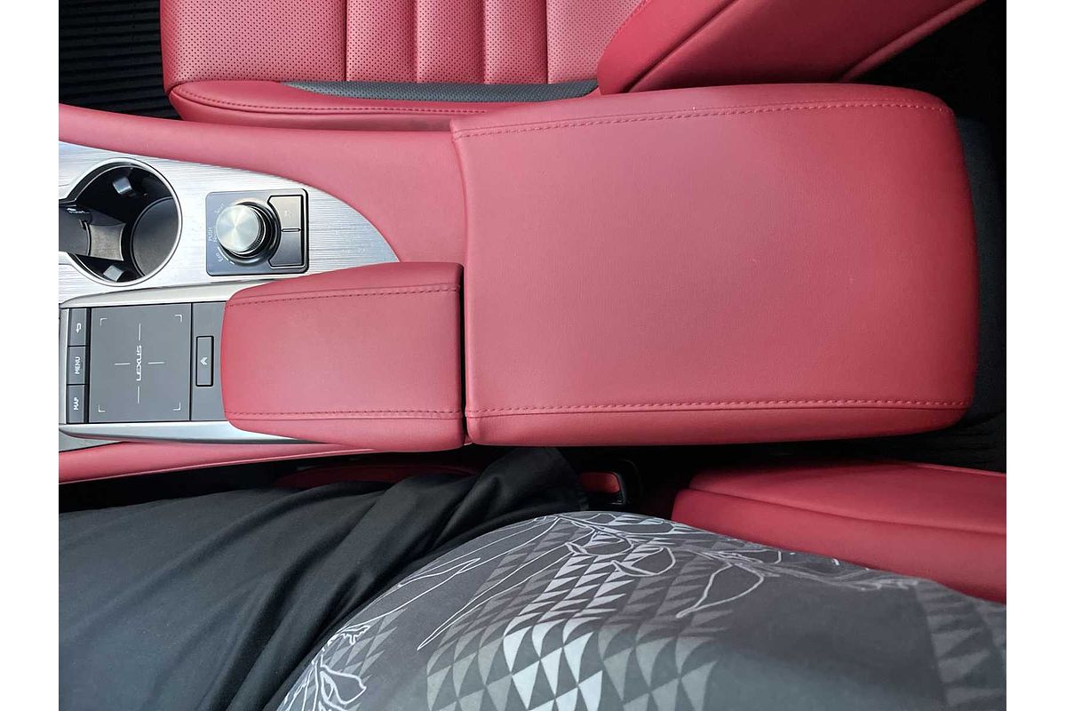2021 Lexus RX F SPORT Appearance