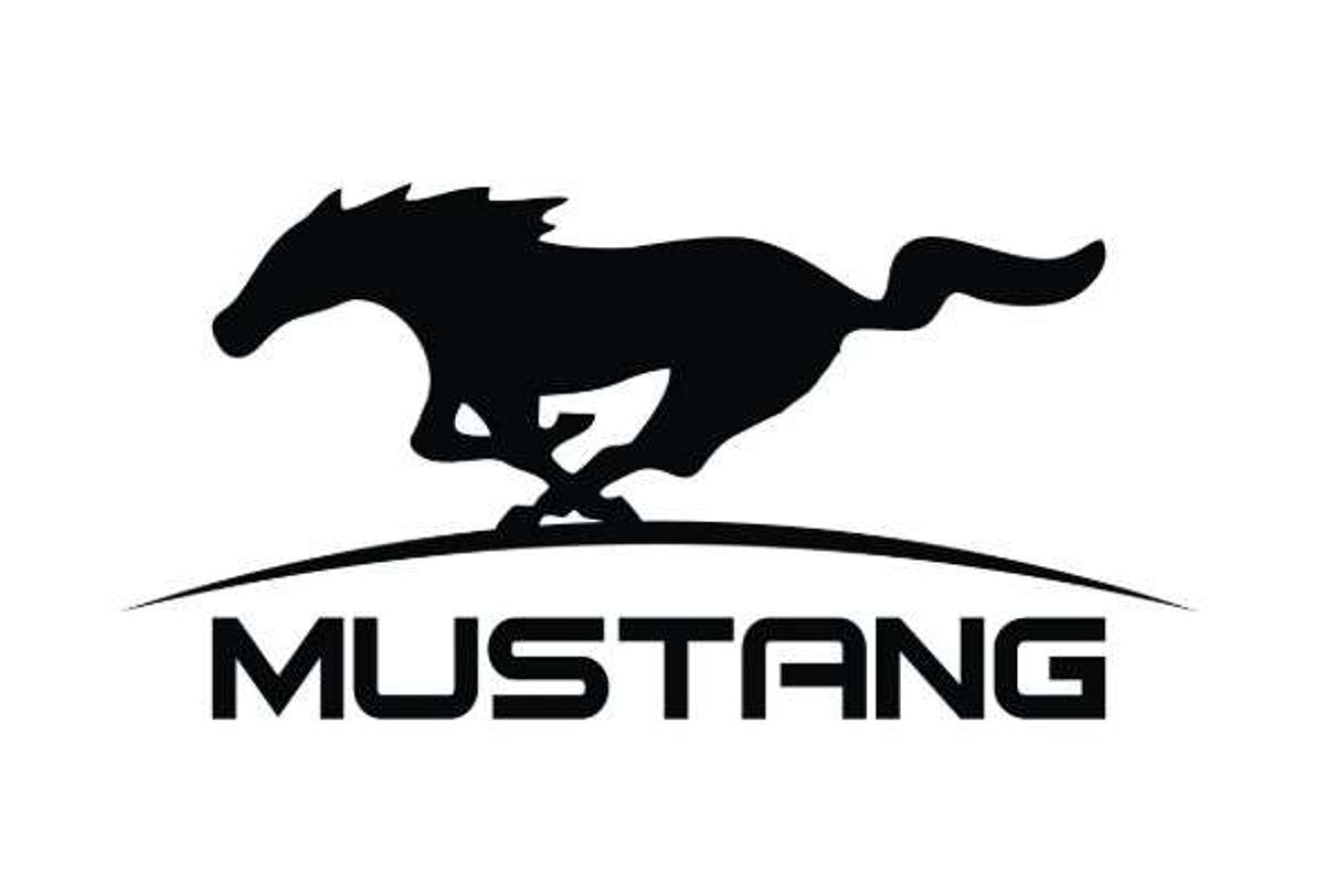 2020 Ford Mustang GT FN