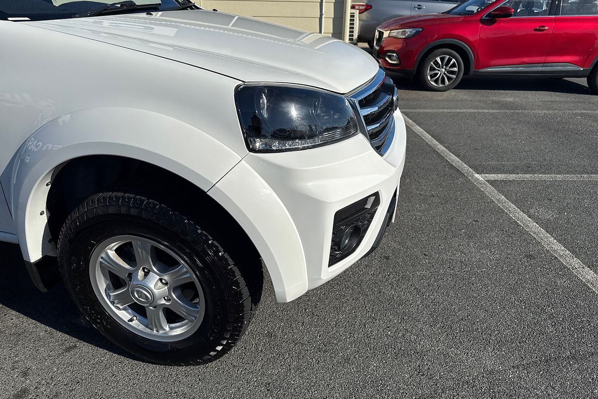 2019 GWM Steed
