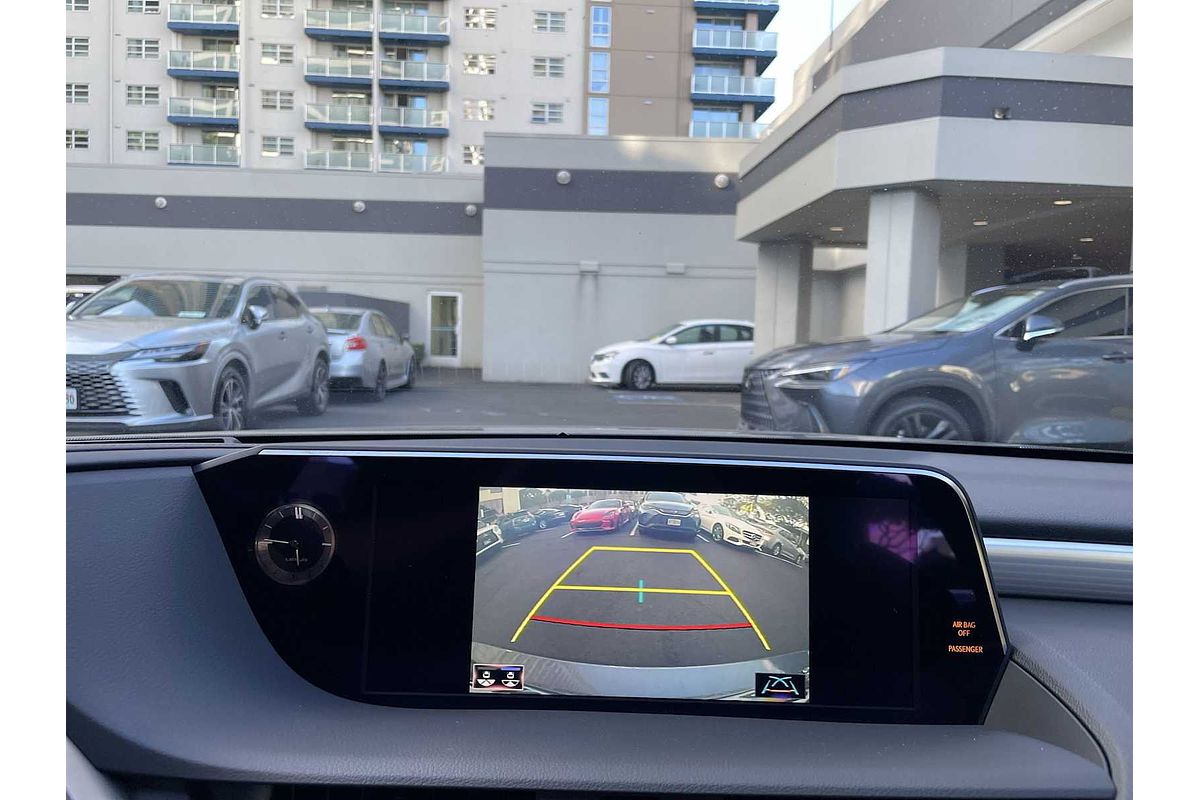 2021 Lexus ES F SPORT