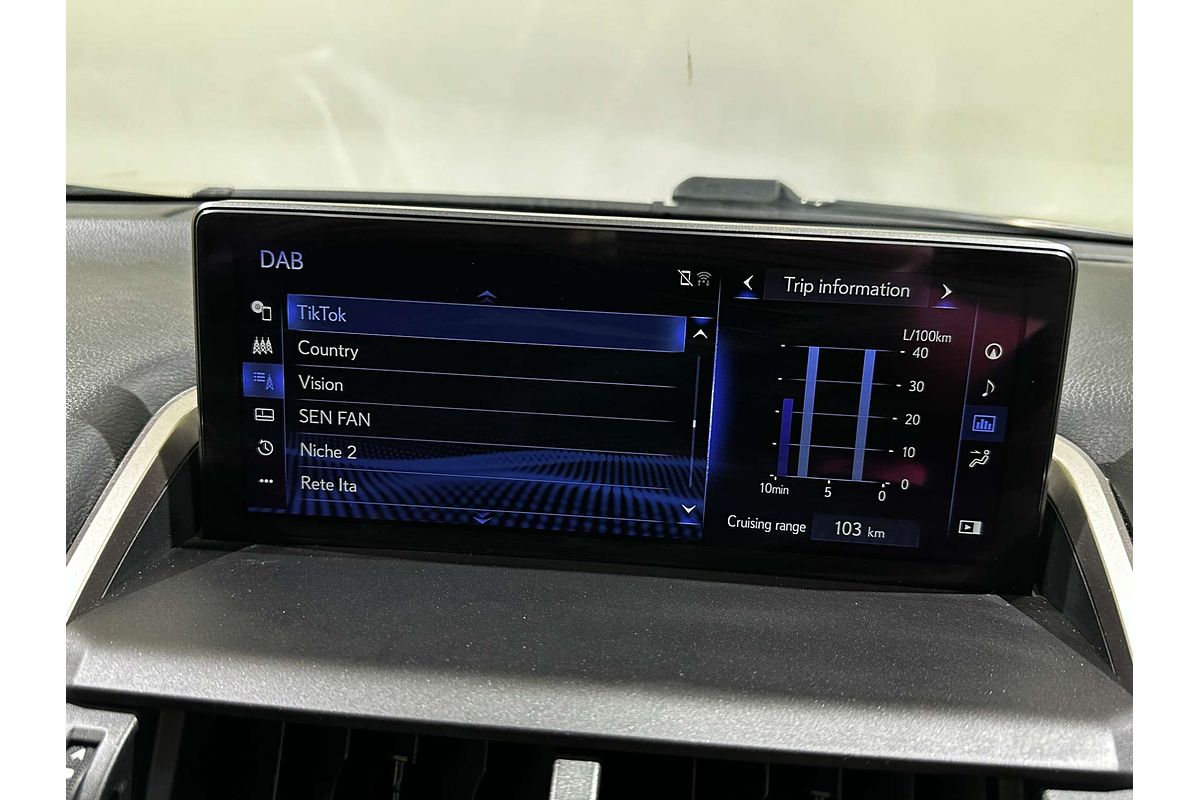 2020 Lexus NX NX300 Luxury AGZ10R