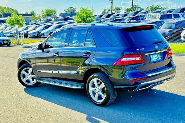 2013 Mercedes-Benz M-Class ML250 BlueTEC W166