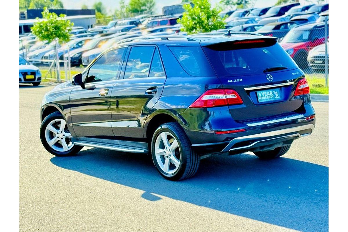 2013 Mercedes-Benz M-Class ML250 BlueTEC W166