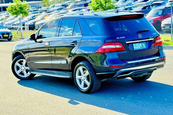 2013 Mercedes-Benz M-Class ML250 BlueTEC W166