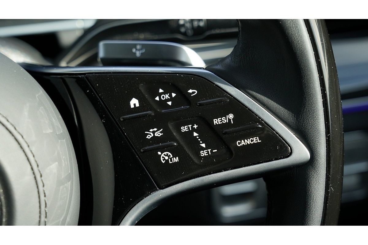 2025 Mercedes-Benz GLS-Class GLS450 d X167