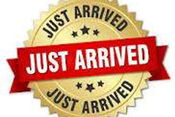 2024 Ford Ranger Wildtrak 4X4 2.0L