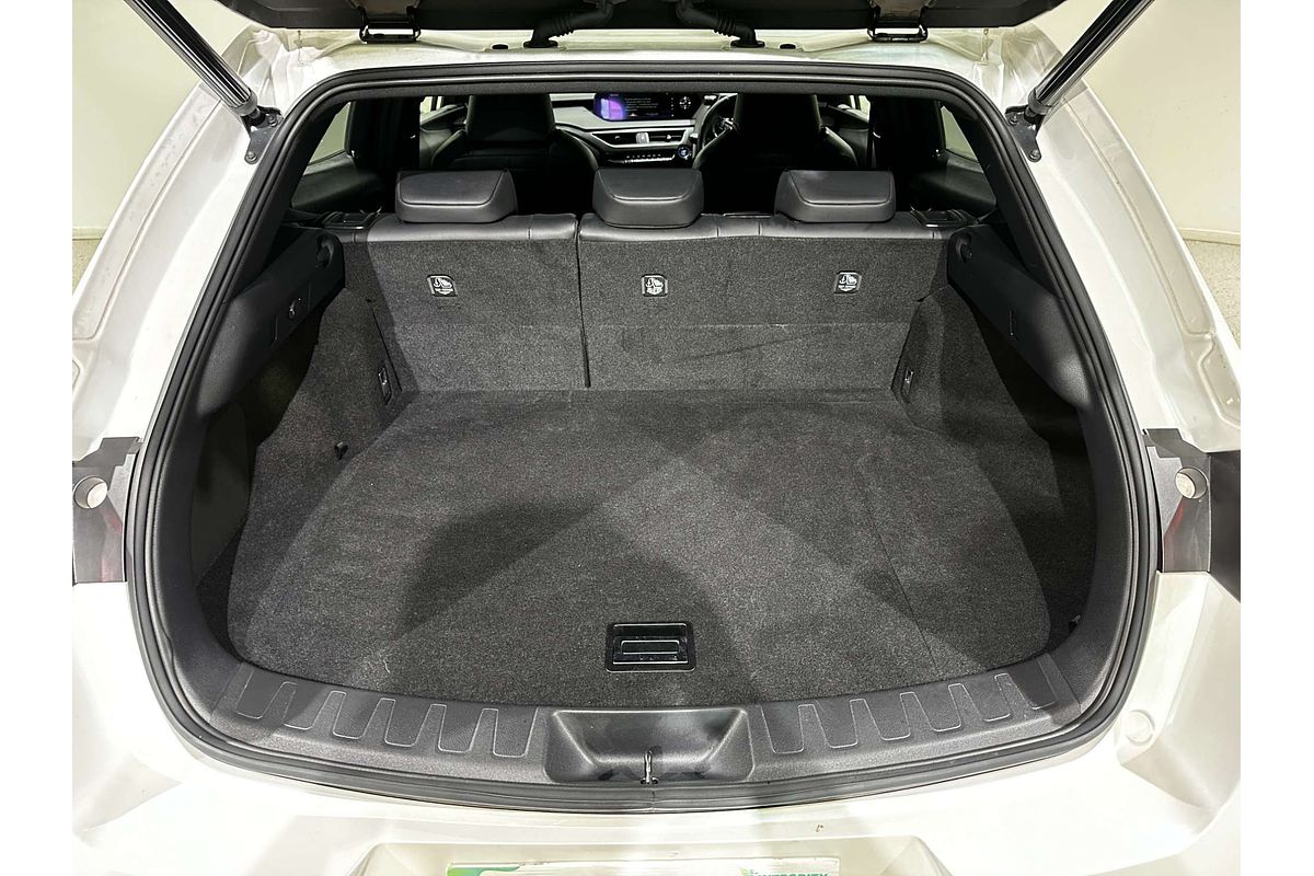 2020 Lexus UX UX250h Luxury MZAH10R