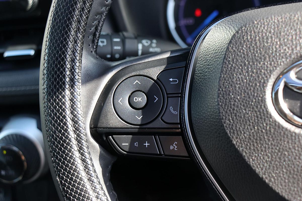 2019 Toyota RAV4 Cruiser AXAH54R