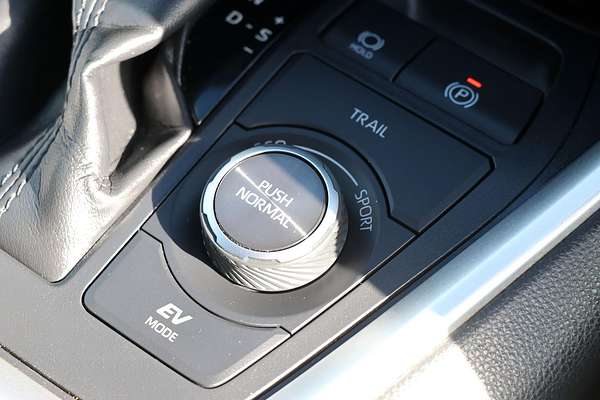 2019 Toyota RAV4 Cruiser AXAH54R