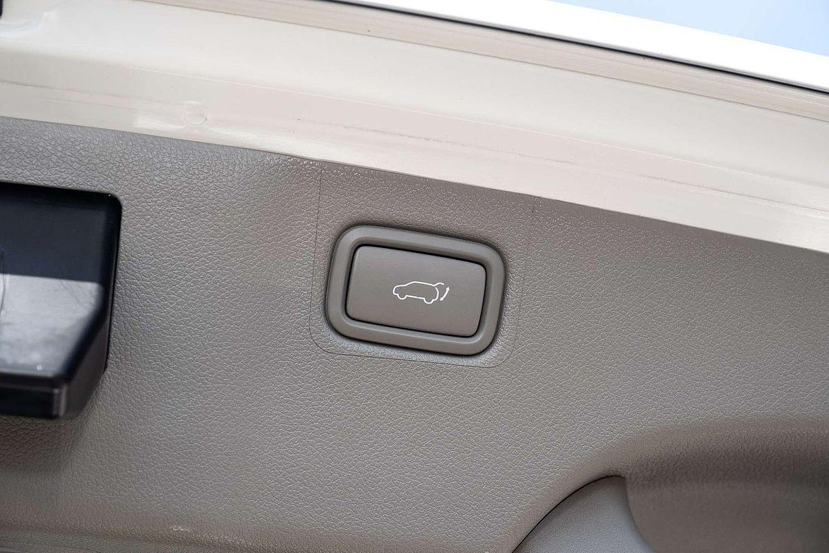 2019 Kia Carnival Platinum YP