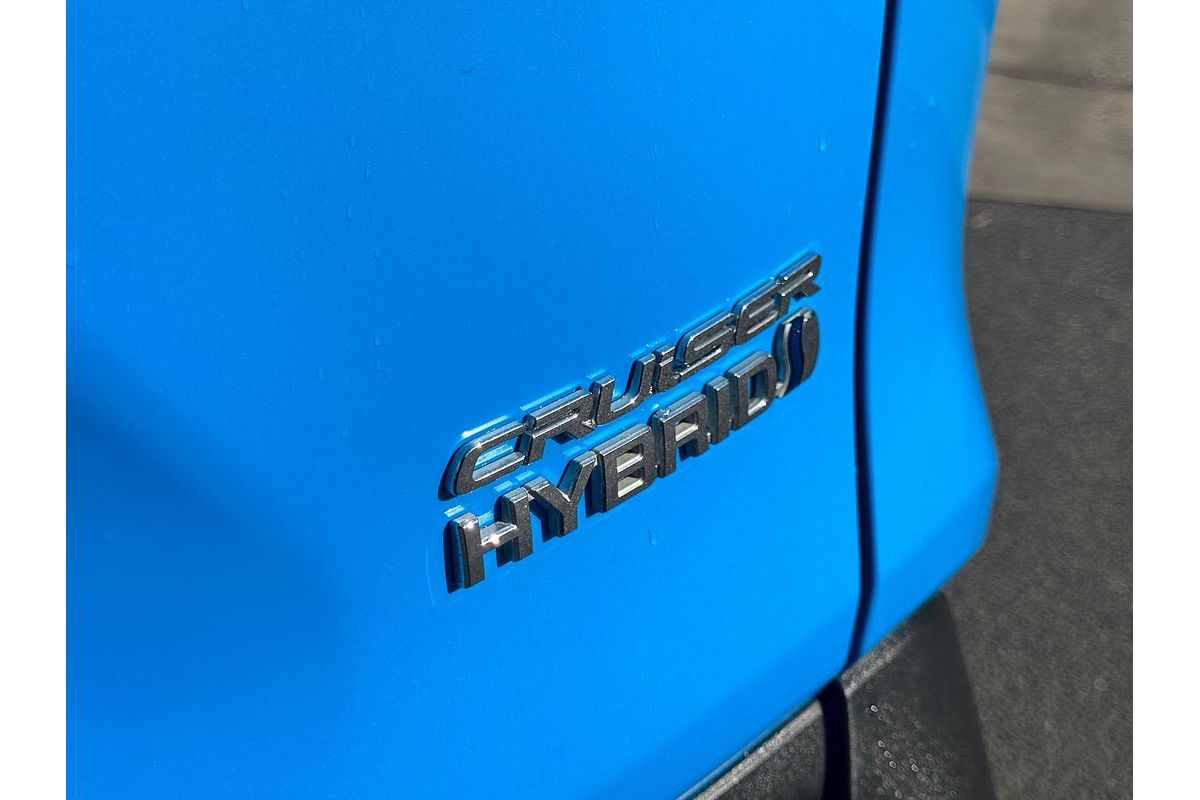 2020 Toyota RAV4 Cruiser AXAH52R