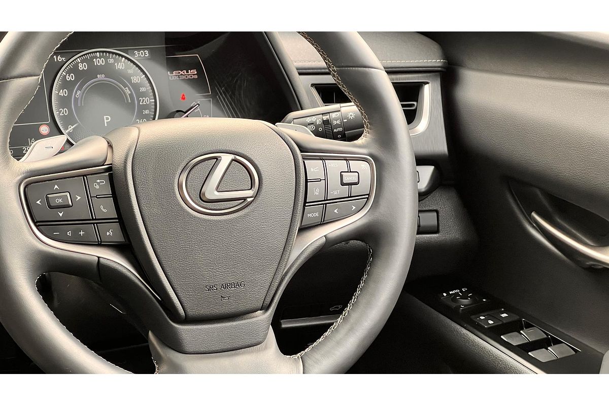 2022 Lexus UX UX300e Sports Luxury KMA10R