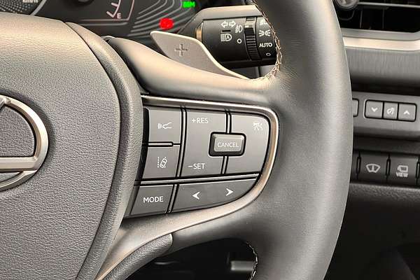 2022 Lexus UX UX300e Sports Luxury KMA10R