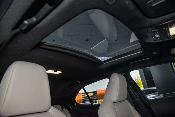 2024 Lexus UX UX300h Sport Luxury MZAH11R