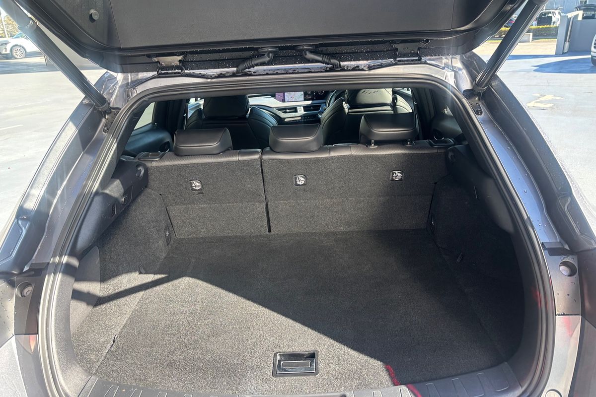 2019 Lexus UX UX200 F Sport MZAA10R