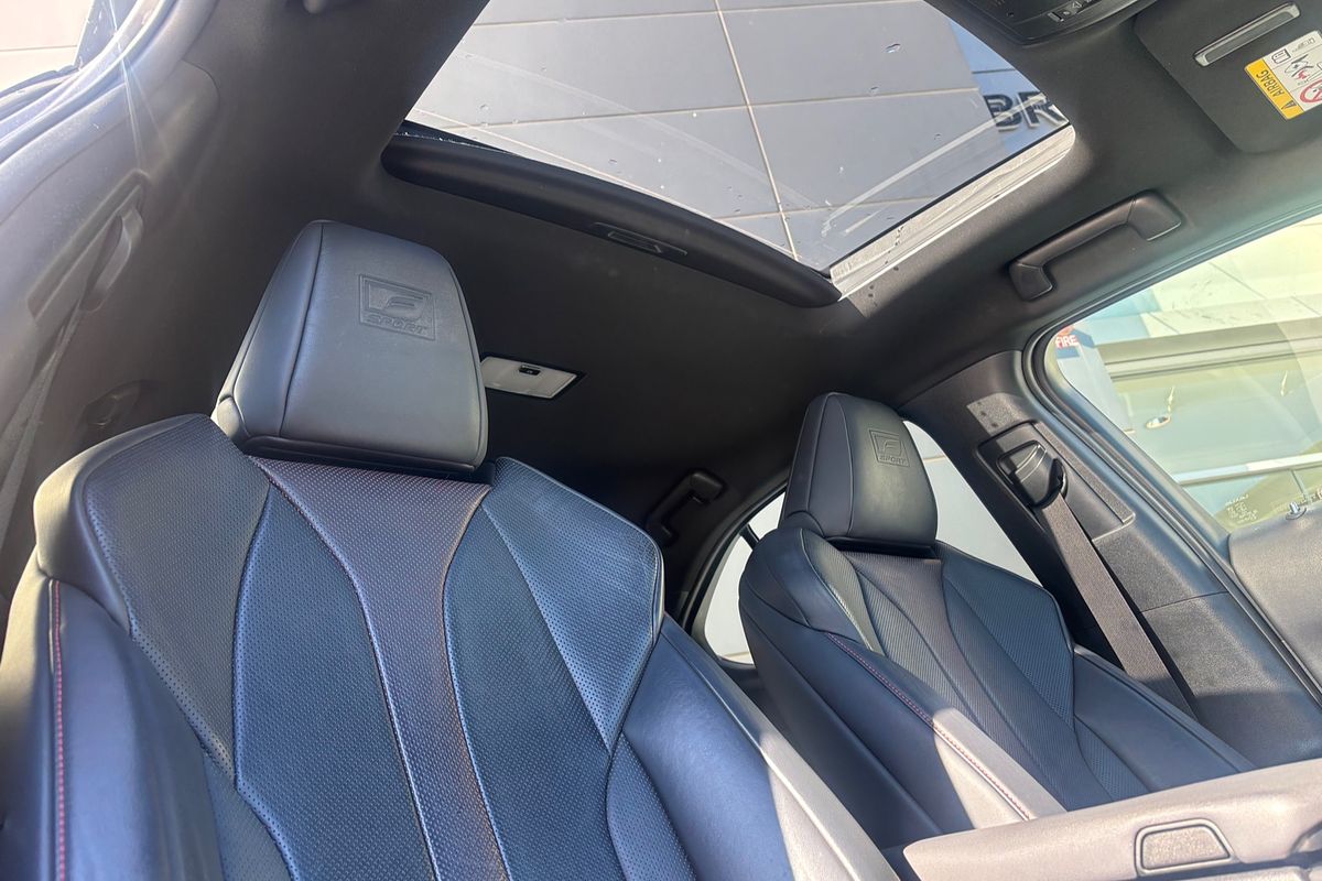 2019 Lexus UX UX200 F Sport MZAA10R