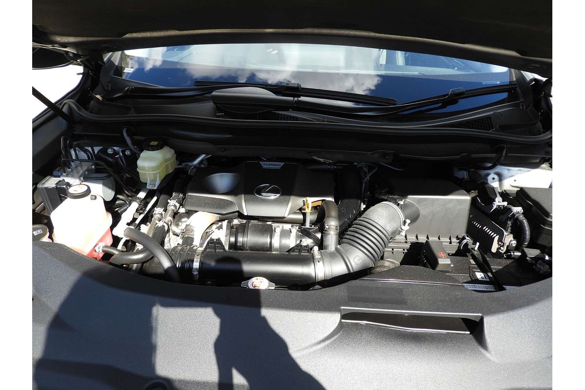 2019 Lexus RX RX300 Luxury AGL20R