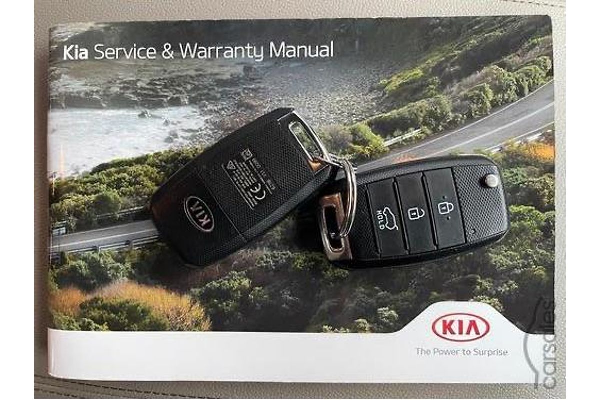 2018 Kia Carnival S YP