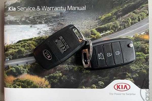 2018 Kia Carnival S YP