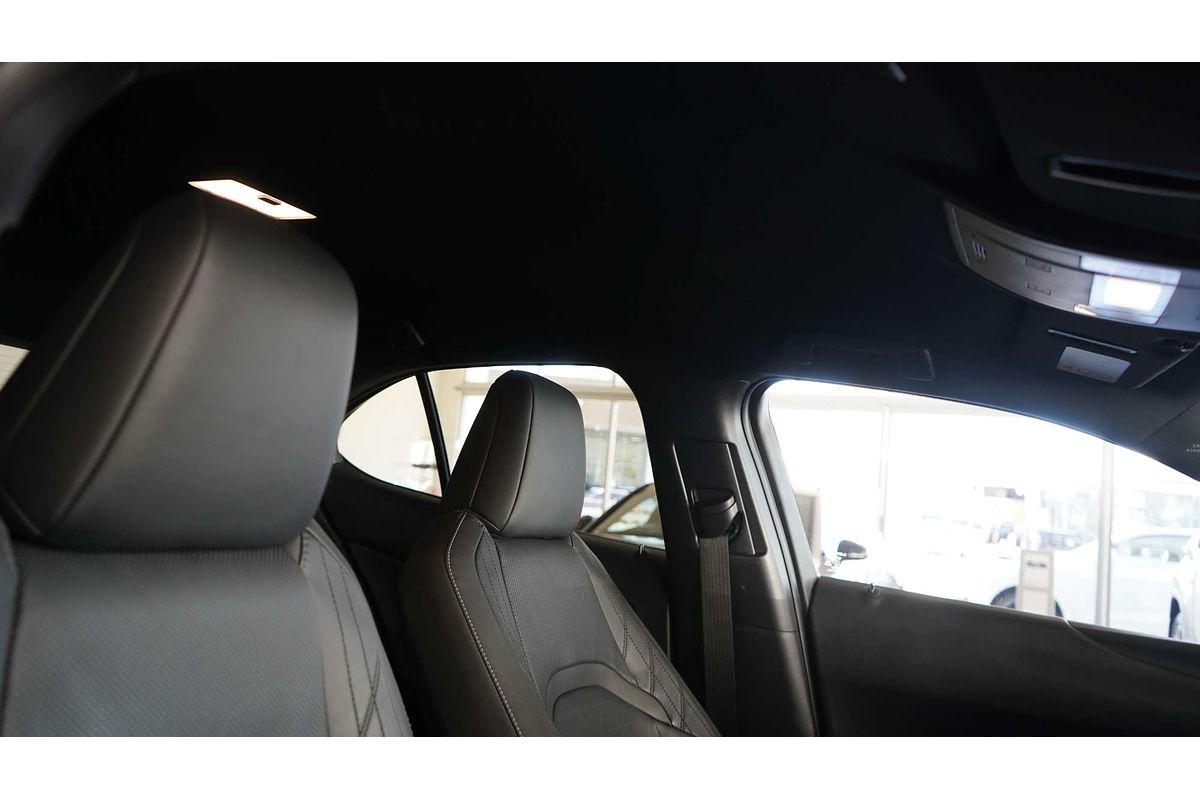2019 Lexus UX UX200 Sport Luxury MZAA10R