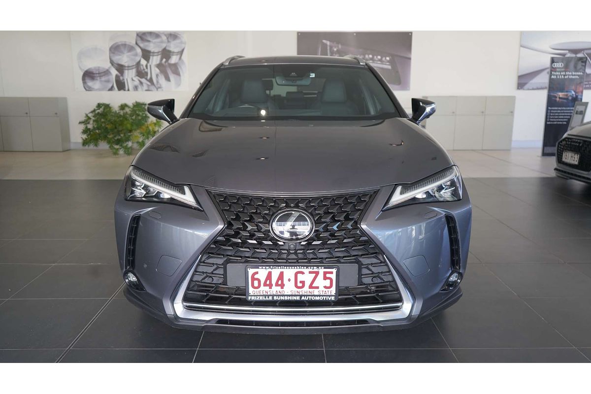 2019 Lexus UX UX200 Sport Luxury MZAA10R