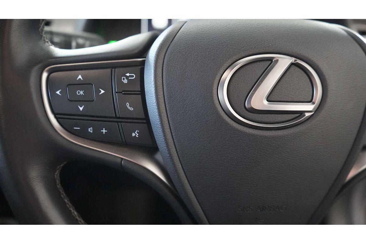 2019 Lexus UX UX200 Sport Luxury MZAA10R