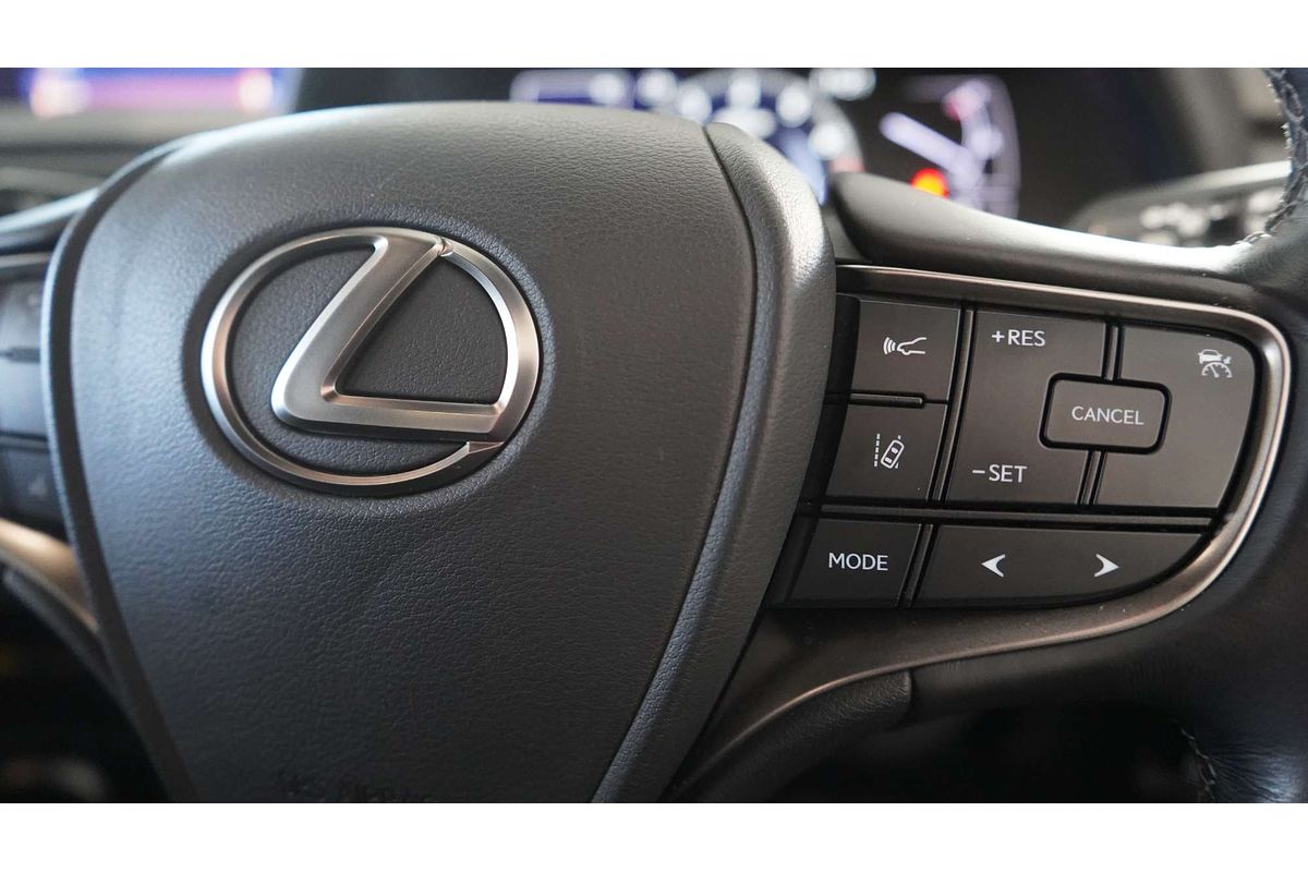 2019 Lexus UX UX200 Sport Luxury MZAA10R