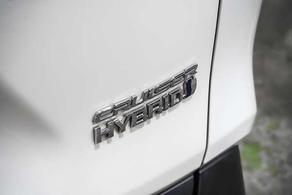 2021 Toyota RAV4 Cruiser AXAH54R