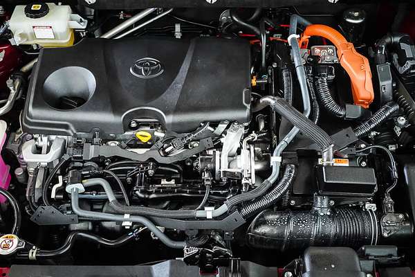 2020 Toyota RAV4 Cruiser AXAH54R
