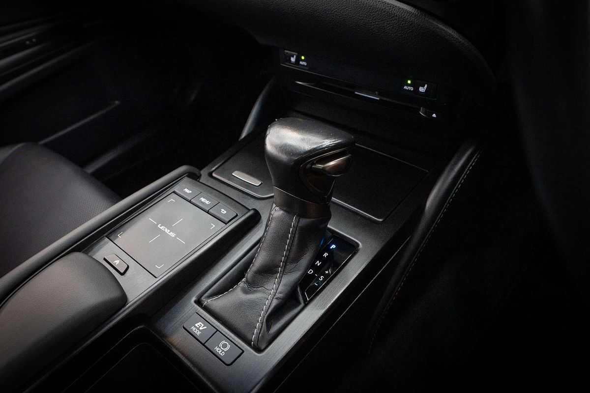 2019 Lexus ES ES300h Luxury AXZH10R