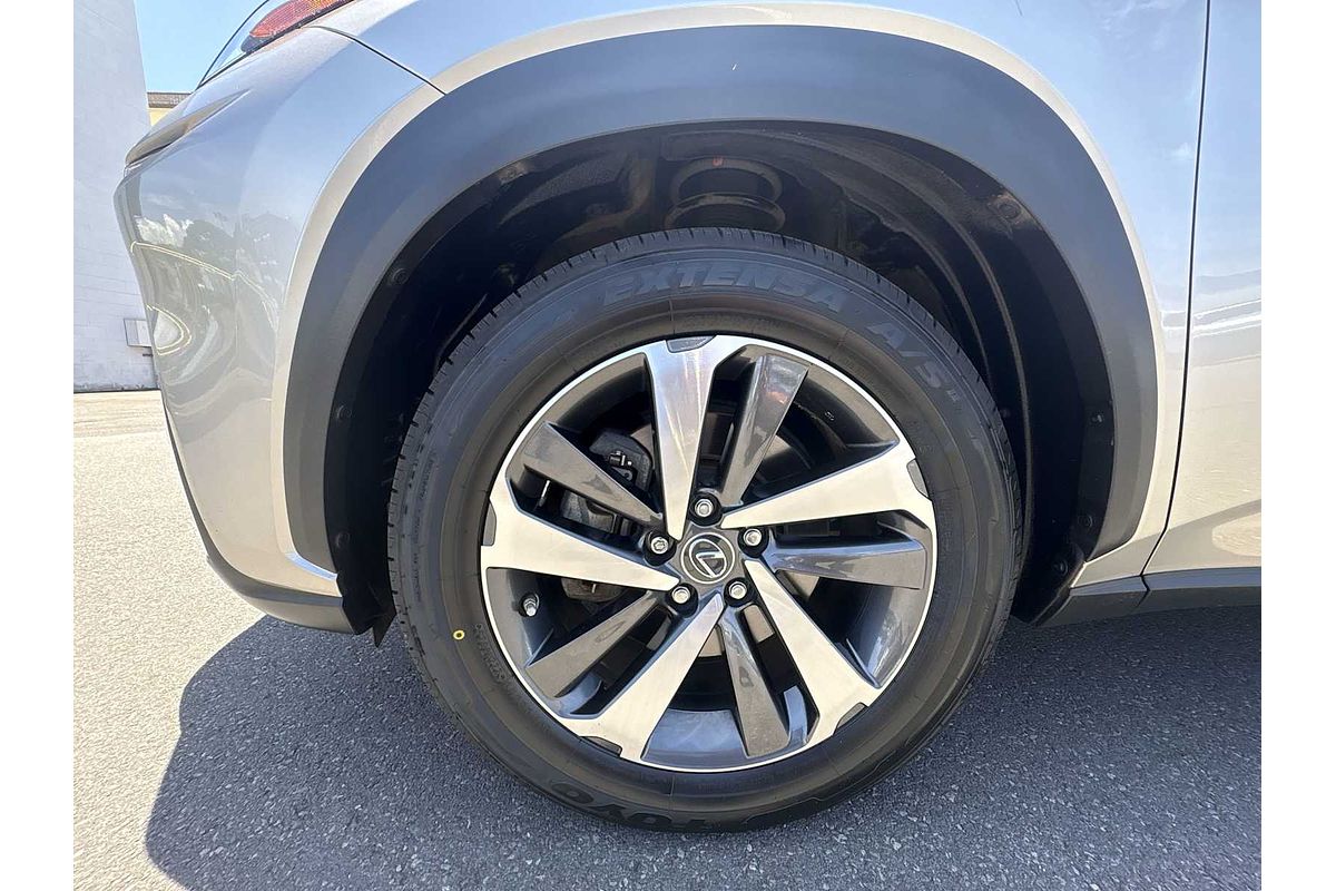2020 Lexus NX