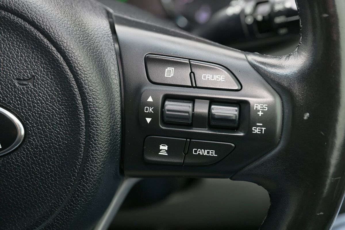 2018 Kia Carnival Platinum YP